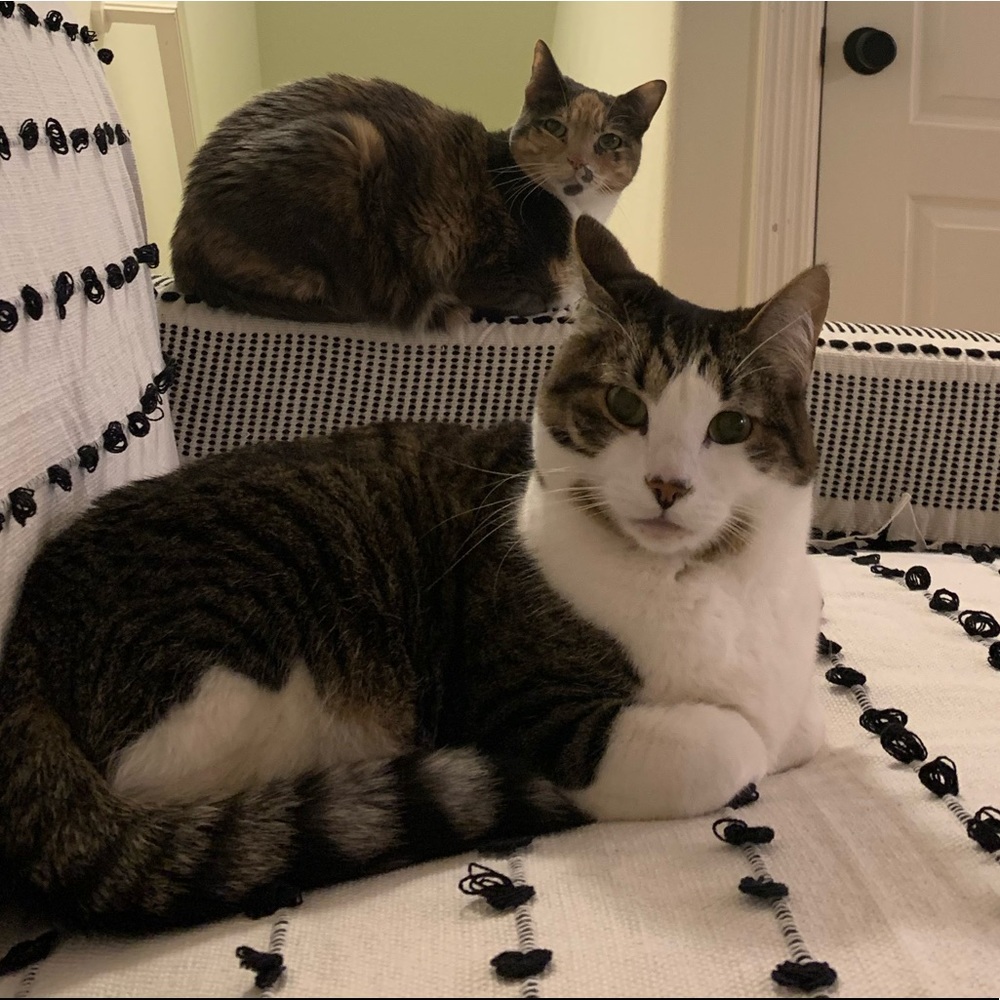 Meet your Posher, Carly